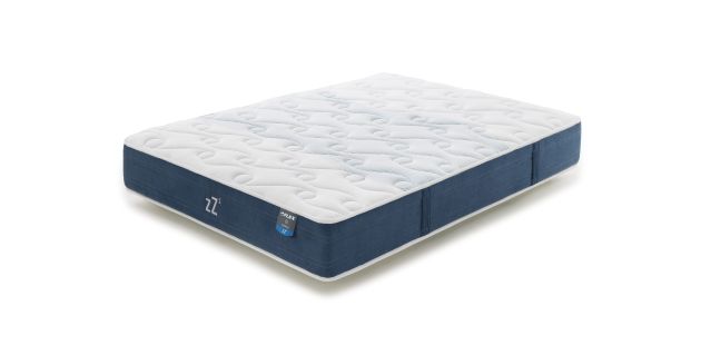 zZ2 Medium Multisense