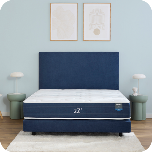 zZ2 Medium Multisense
