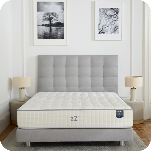 zZ4 Firm Multielastic