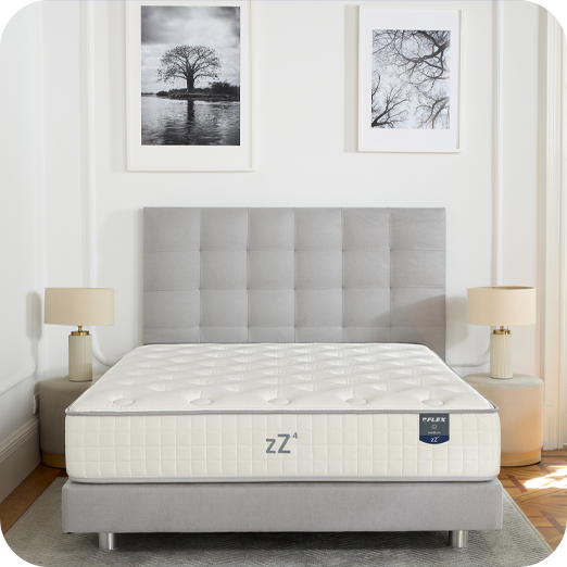 zZ4 Medium Multisense