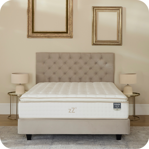 zZ5 Firm Visco