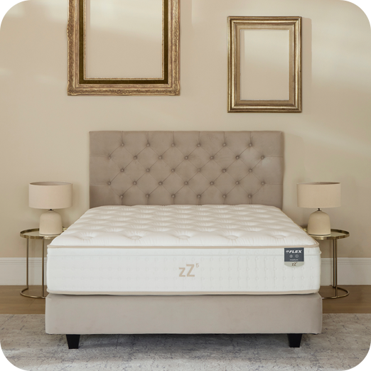 zZ5 Medium Multisense