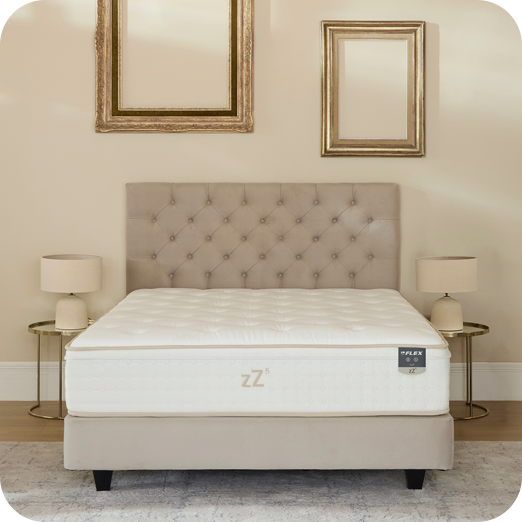 zZ5 Firm Pocket Multisense